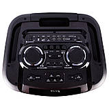 Акумуляторна колонка Temeisheng TMS-1515 з мікрофонами/400W (USB/Bluetooth/Пульт ДК), фото 4