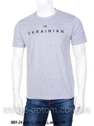 Футболка чоловіча Батал Туреччина сірий (2XL-6XL) оптом 105493, фото 1