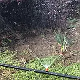 Комплект для капельного поливу саду городу 20 м Gardlov 21213, фото 10