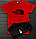 Стильний комплект футболки та шорти The North Face logo, фото 3