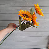 Соняшник гілка 55 см, з 3-ма квітковими головками, фото 2