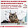 Royal Canin Young Male S/O сухий лікувальний корм для кастрованих котів до 7 років, 0.4КГ, фото 2