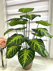 Штучна диффенбахія.Декоративна рослина ( 67 см ).