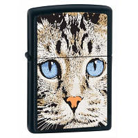 Зажигалка Zippo 28040 Blue Eyed Cat черная