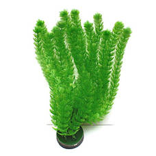 Штучні рослини для акваріума ТМ Atman серії M