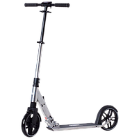 Самокат Rideoo 200 City Scooter (Silver)