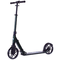 Самокат Rideoo 200 City Scooter (Green)