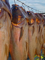 Толстороб копчений (х/к)