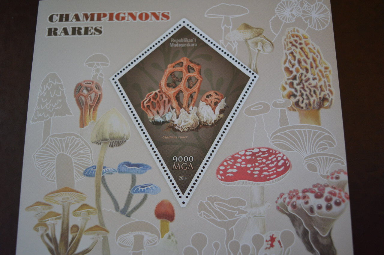 Мадагаскар. Марки. Фауна. Блок. 2015 рік (А-22)