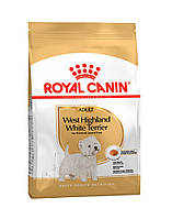 Royal Canin West Highland White Terrier сухой корм для собак породы вест-хайленд-вайт-терьер 3 кг
