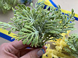 Декоративні гілочки (бутоньєрка) "ажурне листячко" 6 шт/уп. зеленого кольору з напиленням, фото 3
