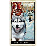 Таро Мудрої Собаки — Wise Dog Tarot. U.S. Games Systems, фото 4