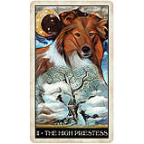 Таро Мудрої Собаки — Wise Dog Tarot. U.S. Games Systems, фото 5
