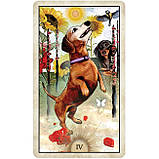 Таро Мудрої Собаки — Wise Dog Tarot. U.S. Games Systems, фото 10