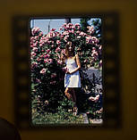 Фотоплівка кольорова для слайдів Kodak Ektachrome 100D, 24 кадри, фото 8