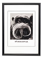 Рамка 40х50 з пластику - Чорна - з склопластиком