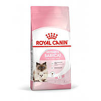 Сухий корм Mother and Babycat для вагітних або кішок, що годують, і кошенят 2 кг Royal Canin