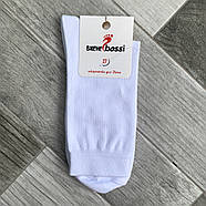 Шкарпетки чоловічі демісезонні бавовна ВженеBOSSi, розмір 31 (45-46), білі, 11016, фото 2