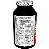 Концентрована суміш клітковини для здоров'я травної системи Yerba Prima, 340 г, фото 2