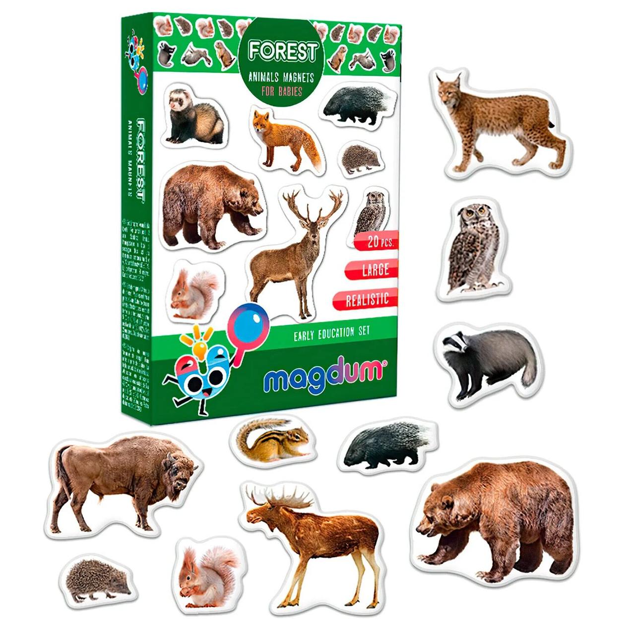 Магнітні ігри Forest. Рhoto, Magdum, англійська мова.