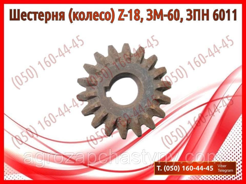 Шестерня (колесо) ЗМ-60, Z-18 ЗПН 6011 (запчастини на зернокидач зм-60)