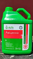 Протравник Авіценна 5 л