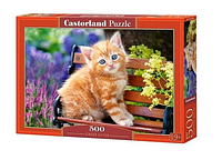 Castorland puzzle Пазли Кошеня, 500 ел. b-52240