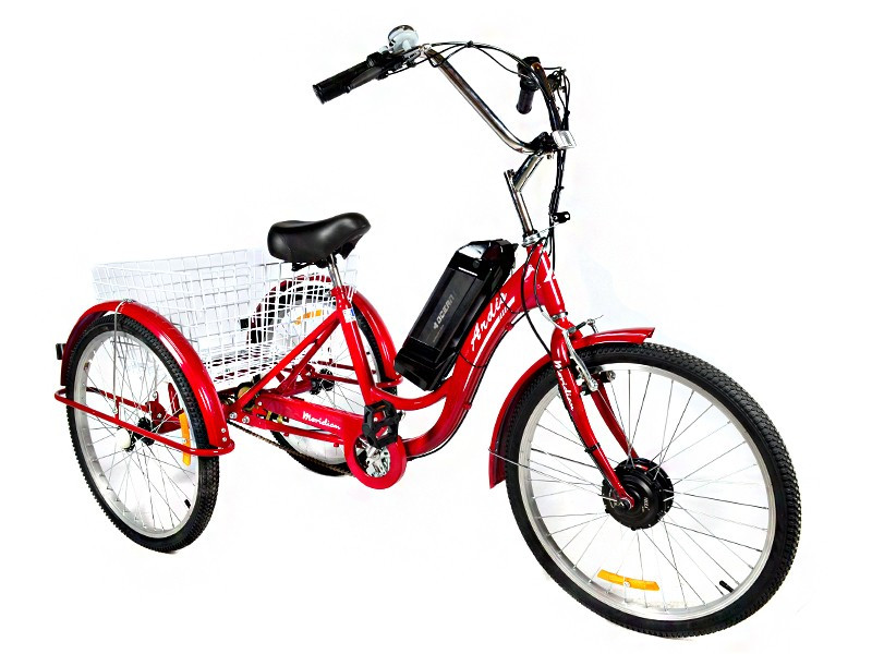 Триколісний електровелосипед ARDIS MERIDIAN - фото 1 - id-p1879680063