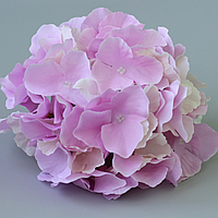 Искусственный цветок гортензия, светло-фиолетового цвета, 17 см. Цветы премиум-класса для интерьера, декора