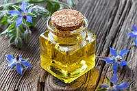 Borage Oil: олія огірочника та її лікувальний вплив на наш організм