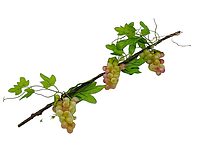 Искусственная ветка виноградная лоза 3 штуки Муляж фрукты для декора L 58 cm
