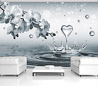 Фото шпалери 3д світло-сірі 254x184 см Серце з води та квіти орхідеї (3494P4)+клей