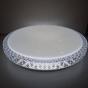 LED світильник BIOM 18W стельовий накладний 5000K (DL-R505-18) без Д/У, коло білий, фото 4