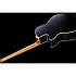 Warwick RB Alien Standard 5 BK FL, фото 9