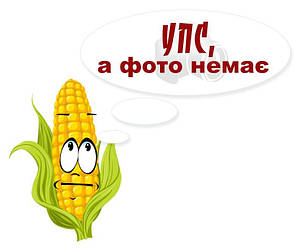 Упаковка (6 шт.) махрових рушників для обличчя та рук "х0Квіти0х" | 50х100