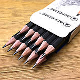 Олівець графітний HB шестигранний Acmeliae 43510, фото 2