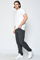 Спортивные штаны мужские серого цвета р.48 158663T Бесплатная доставка