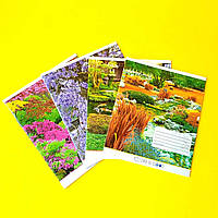 Зошит у клітинку, 24 аркуші, кольорова обкладинка, мікс