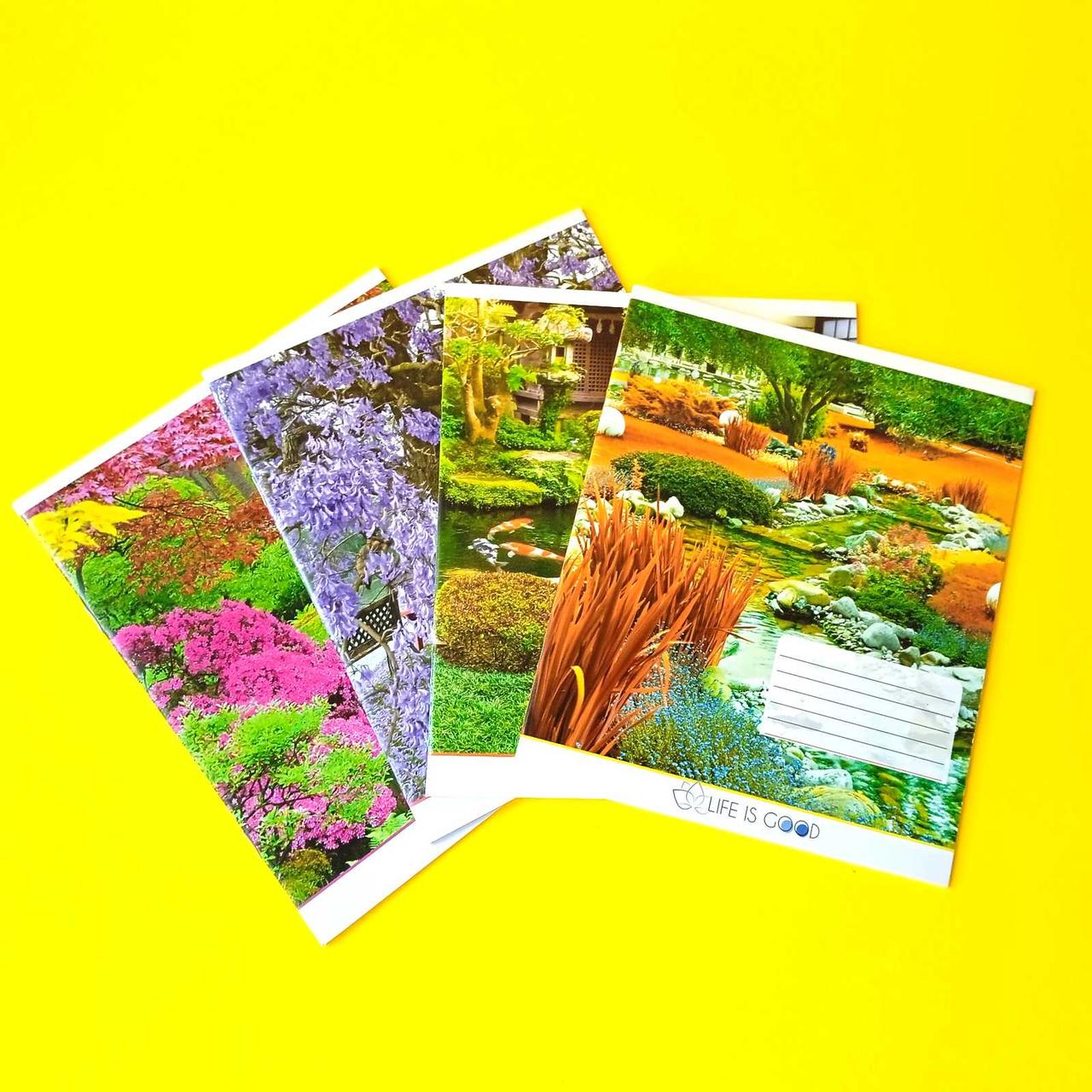 Зошит у клітинку, 24 аркуші, кольорова обкладинка, мікс, фото 1