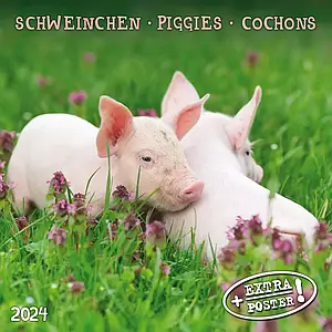 Настінний календар 2024 рік. Piggies