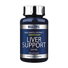 Liver Support (80 caps)