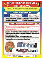 0147-1 Плакат Перша медична допомога при переломах (У); 20; плакати в кожний кабінет 10104255У;