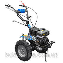 МОТОБЛОК ДТЗ 517БН (5.00-12), фото 2