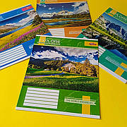 Зошит в клітинку, 18 аркушів, кольорова обкладинка, LEADER