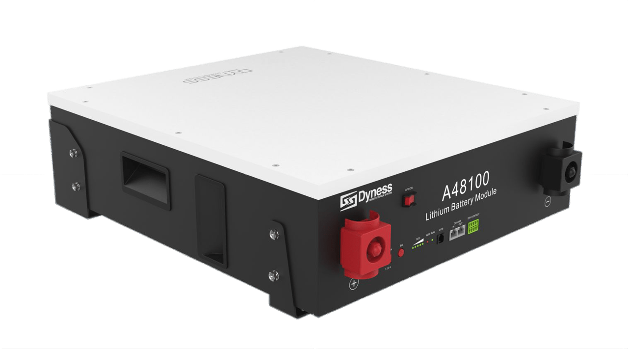 Акумулятор Dyness A48100