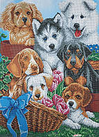 А2-К-1145 Весенние щенки, набор для вышивки бисером картины