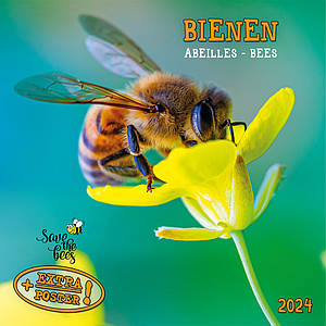 Настінний календар 2024 рік. Bienen 2024