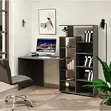 Стіл письмовий КС-08 Київський Стандарт (1700х600/300х750/1500 мм), фото 2