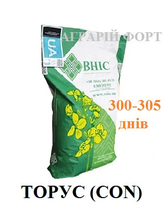 Насіння ріпаку озимого, гібрид Торус (класік). Високоврожайний озимий ріпак Торус. ВНІС