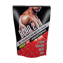 Power Pro BCAA 2:1:1 (500 g, фруктовий пунш)